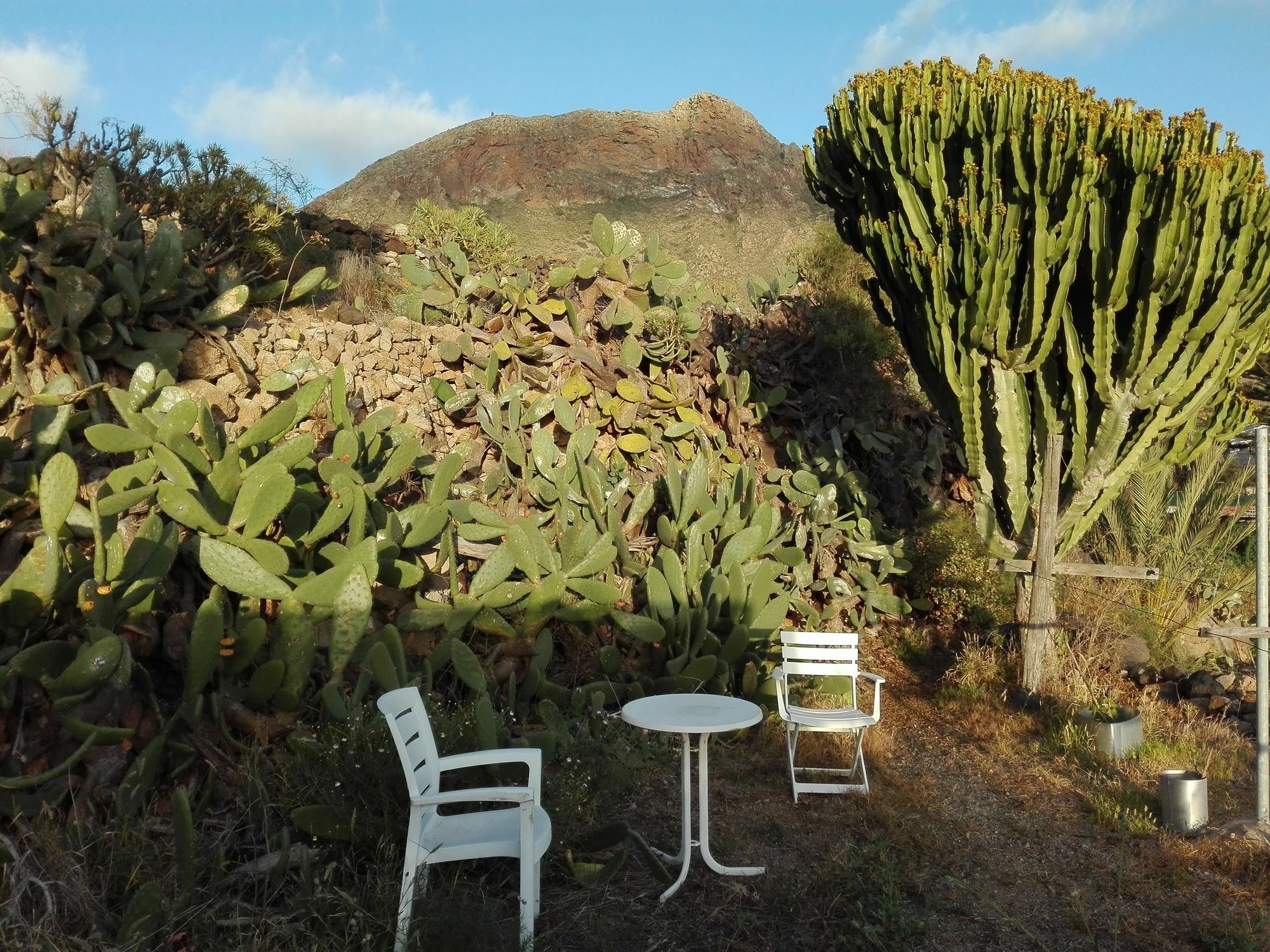Finca Patio Canario Arona Kültér fotó